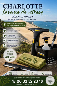 Photo de galerie - Laveuse de vitre a domicile uniquement sur gujan mestras