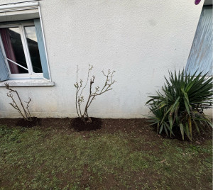 Photo de galerie - Jardinier