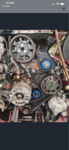 Photo de galerie - Chaîne et courroie 