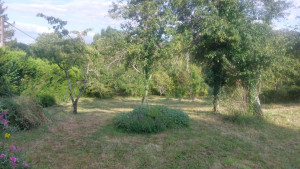 Photo de galerie - Je peux venir chez vous et faire un résultat comme ceci  