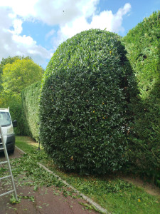 Photo de galerie - Beau travail 
