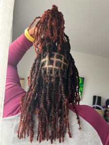Photo de galerie - Twist braids 