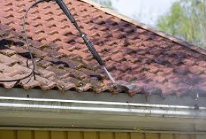 Photo de galerie - Réalisation nettoyage de façade et de toiture