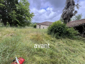 Photo de galerie - Tonte de pelouse - Débroussaillage