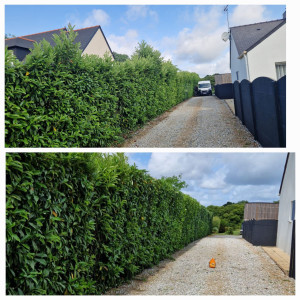 Photo de galerie - Une belle haie