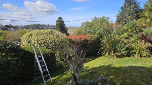Photo de galerie - Jardinier