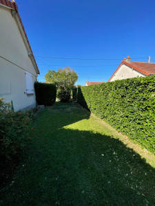 Photo de galerie - Taille de haie 