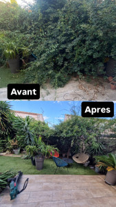 Photo de galerie - Elagage et coupe d'arbres