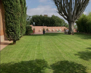 Photo de galerie - Taille abattage