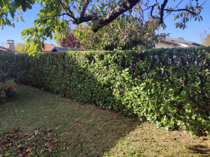 Photo de galerie - Albi