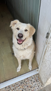 Photo de galerie - Ma fille Cléo 