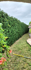 Photo de galerie - Jardinier