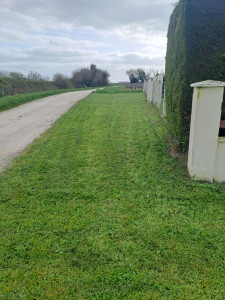 Photo de galerie - Entretien terrain espace vert