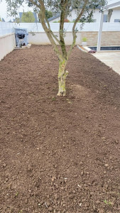 Photo de galerie - Il s'agit d un gazon refaire complètement 