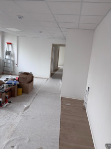 Photo de galerie - Pose de la toile de verre 