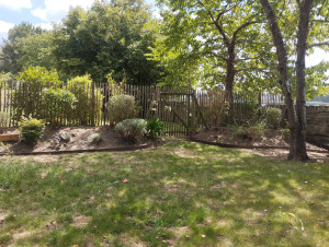 Photo de galerie - Taille d'arbustes