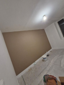 Photo de galerie - Peinture murs et plafond 