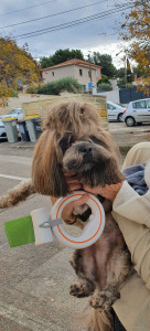 Photo de galerie - Arrivée chez Tatie pour ma journée promenade