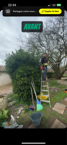 Photo de galerie - Taille de haies et d'arbustes