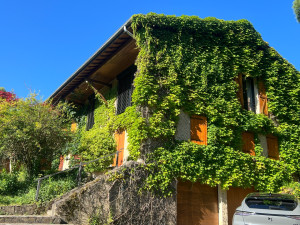 Photo de galerie - Jardinier