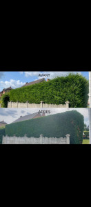 Photo de galerie - Taille de haie