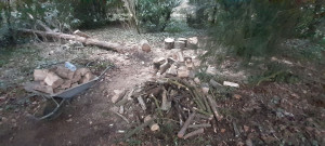 Photo de galerie - Habatage