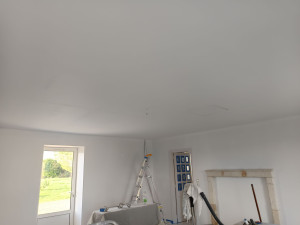 Photo de galerie - Peinture plafond et murs 