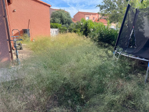Photo de galerie - Tonte de pelouse - Débroussaillage