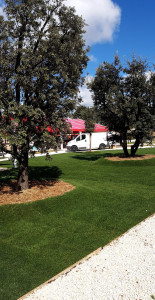 Photo de galerie - Installation d’un gazon en plaque 