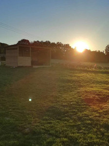 Photo de galerie - Paysagiste - Aménagement du jardin