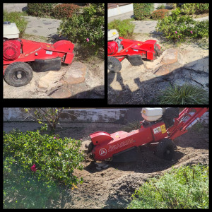 Photo de galerie - Rognage de souche avec rogneuse