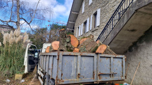 Photo de galerie - Petry 