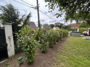 Photo de galerie - Paysagiste - Aménagement du jardin