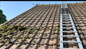 Photo de galerie -  bonjour je propos mais service pour

nettoyage toiture démoussage toiture façade dallage murets mur Traitement antimousse Entretien de l'étanchéité de toiture hydrofuge 
Devis et déplacement gratuit

Pour plus de renseignements veuillez me contacter
