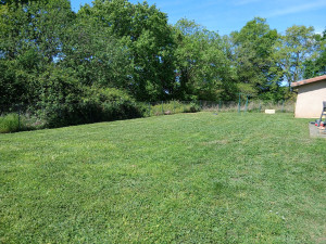 Photo de galerie - Tonte pelouse et rotofil