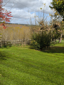 Photo de galerie - Tonte