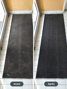 Photo de galerie - Nettoyage et dépoussiérage du tapis du hall d’entrée – parties communes d’un immeuble d’habitation.