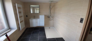 Photo de galerie - Rénovation salle d'eau 