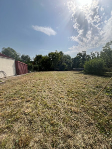 Photo de galerie - Tonte de pelouse - Débroussaillage