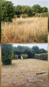 Photo de galerie - AVANT/APRÈS
Débroussaillage et tonte réalisés pour redonner vie à ce jardin. Un terrain propre, dégagé et entretenu en quelques heures. Contactez-moi pour vos travaux d'entretien extérieur. ??