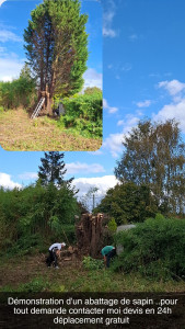 Photo de galerie - Bonjour. abattage d'un sapin effectué aujourd'hui. pour tout demande d'abattage élagage taille ou autre contacter moi je me ferais une joie de répondre à vos attentes. cordialement mr heitzmann 