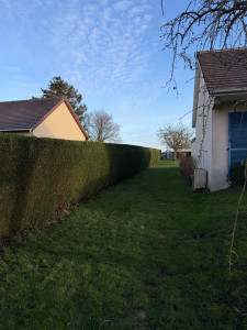 Photo de galerie - Taille haie 