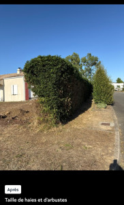 Photo de galerie - Après 