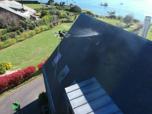 Photo de galerie - Demoussage nettoyage 