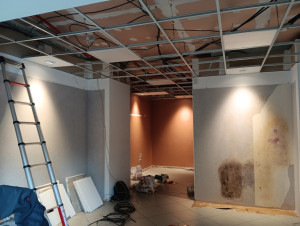 Photo de galerie - Remplacement éclairage vêtus par dalle leds 