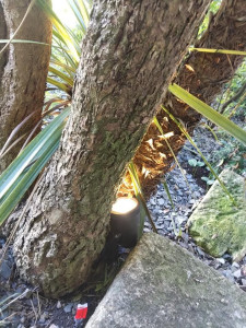 Photo de galerie - éclairage de jardin
