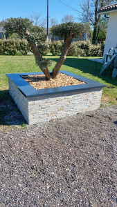 Photo de galerie - Jardinière