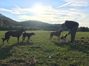Photo de galerie - Dressage