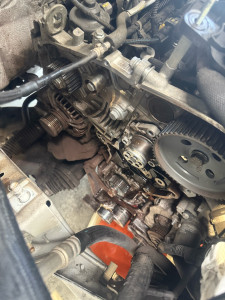 Photo de galerie - Distribution 