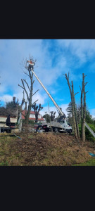 Photo de galerie - Jardinier